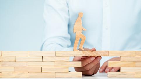 Découvrez nos formations