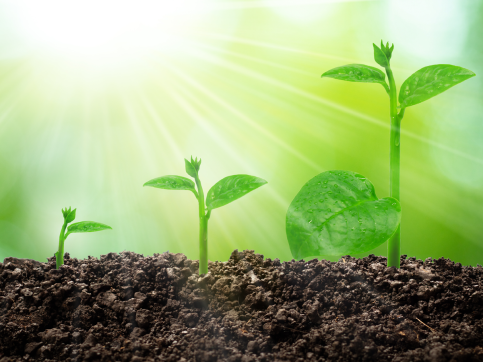 GUBERNA Summer School