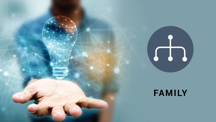 Family Business Governance